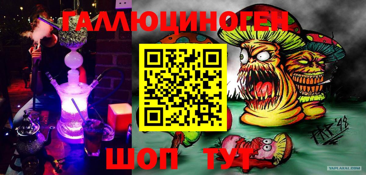 Псилоцибиновые грибы мухоморы Гуково